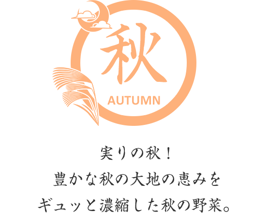 秋－実りの秋！豊かな秋の大地の恵みをギュッと濃縮した秋の野菜。