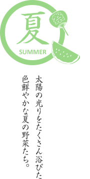 夏－太陽の光りをたくさん浴びた色鮮やかな夏の野菜たち。