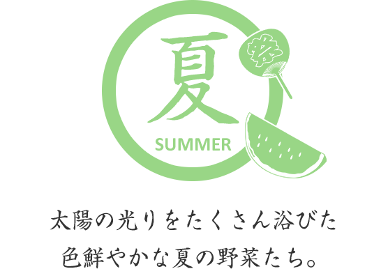 夏－太陽の光りをたくさん浴びた色鮮やかな夏の野菜たち。