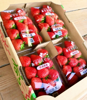 あすかルビーいちご普通サイズ　4パック入り