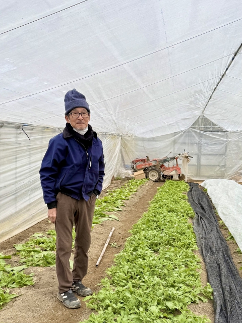 明日香やさい畑