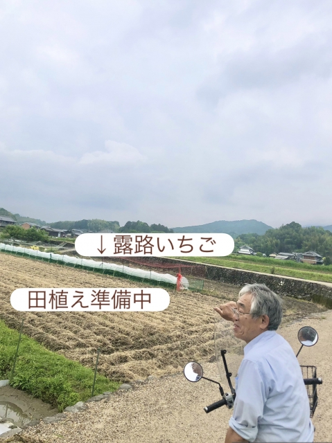 芹澤伸光さん