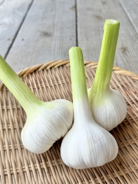 新にんにく