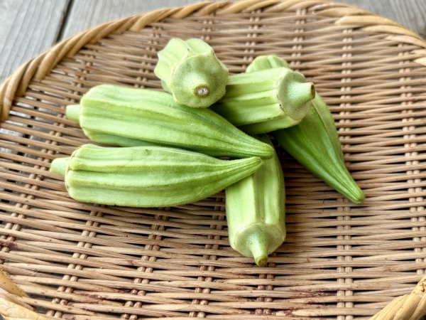 オクラ(ダビデの星)