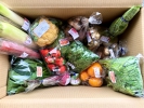  ”あすかフレッシュベジ”　明日香村から産直でお届けする新鮮野菜の定期便　（数量限定）