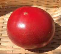 トマト
